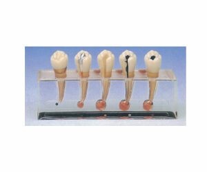 BioLab Products